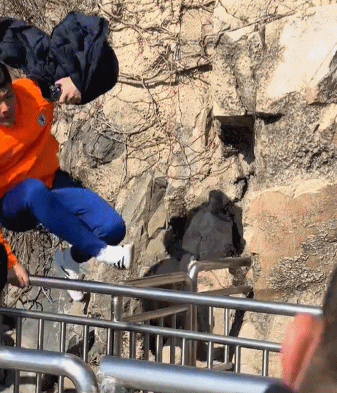 身手矫健!着急赶路,王大雷单手翻越两个护栏